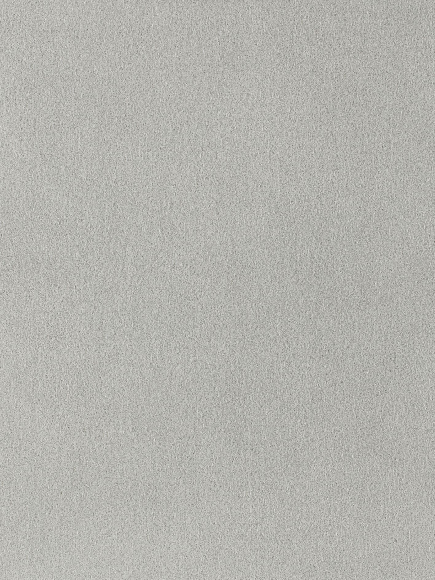 Ultrasuede® - Platinum