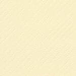 Raffia Close-Out - Chablis