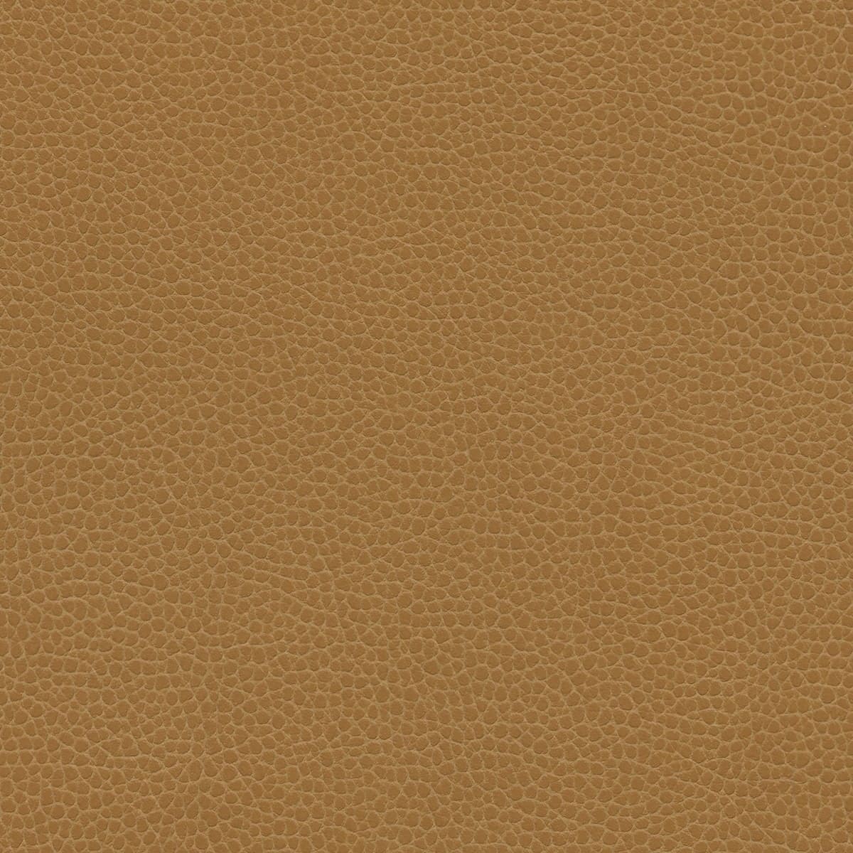 promessa camel, Promessas, ultraleather, ultrafabrics, sustainable, vegan, animal free, textile, fabric, aviation, vip, corporate jet, business jet, private jet, vertical surfaces
