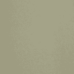 Tapisuede™ Flannel - Sand Dollar