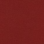 Promessa® - Rumba Red