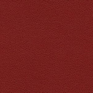 Promessa® - Rumba Red