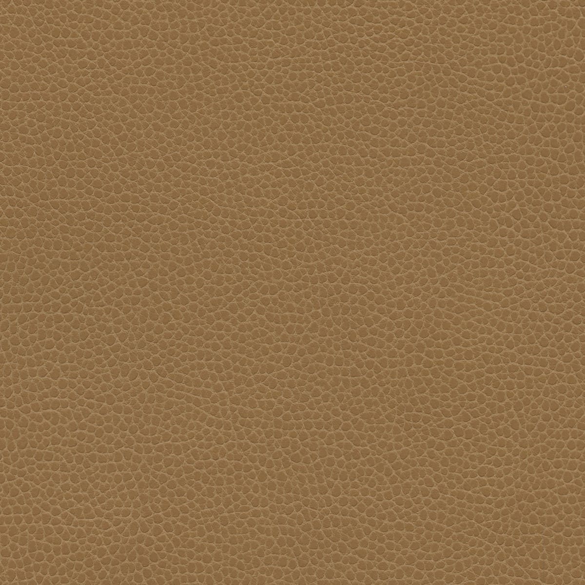 Promessa® - Buttered Toffee