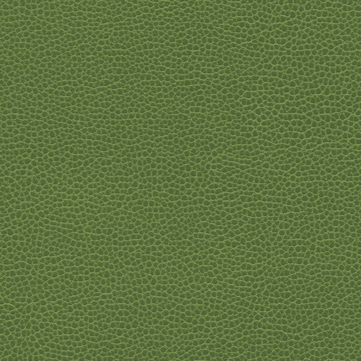 Promessa® - Olive Moss